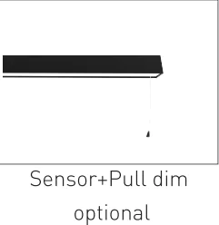 L50 Sensor Linear Light