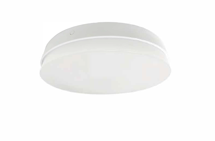 LED Ceiling Light